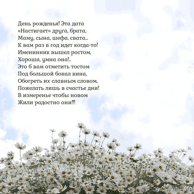 Открытка с ромашками