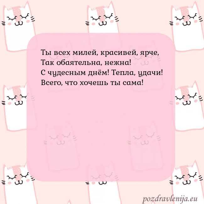 Розовая открытка с забавными кошками