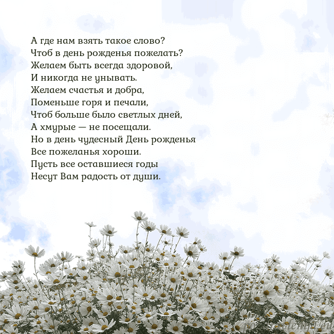 Открытка с ромашками