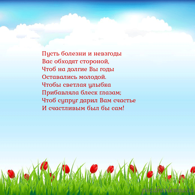 Открытка с тюльпанами