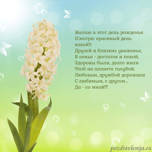 Открытка с гиацинтом