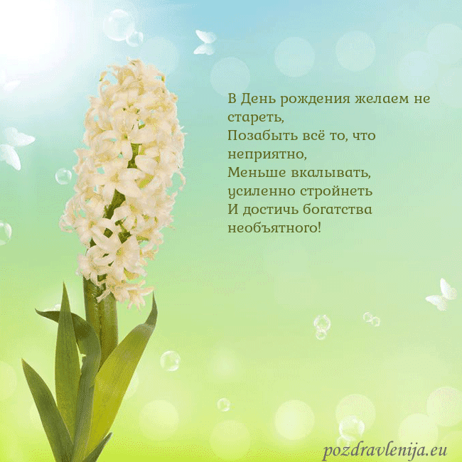 Открытка с гиацинтом