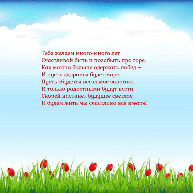 Открытка с тюльпанами