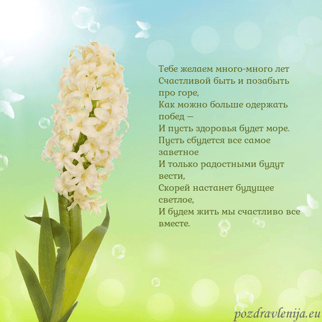 Открытка с гиацинтом