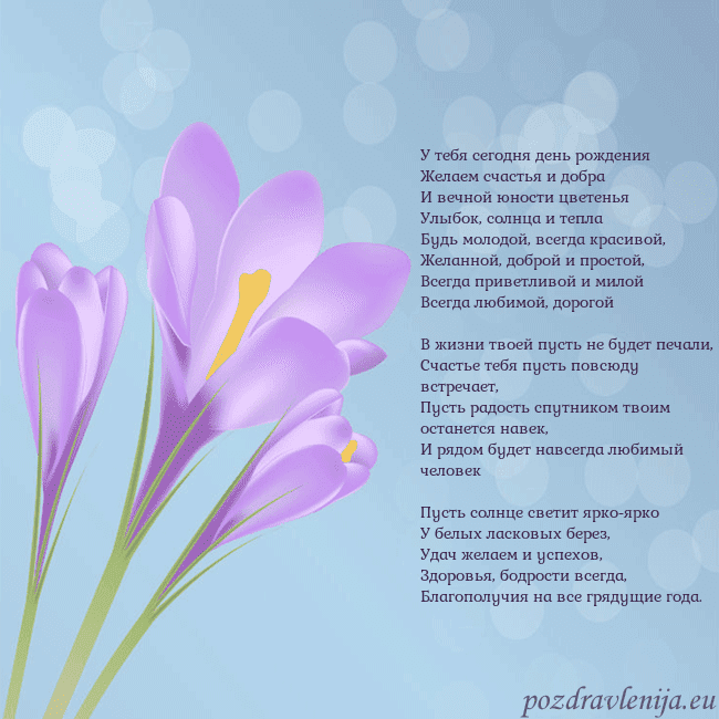 Открытка с крокусом