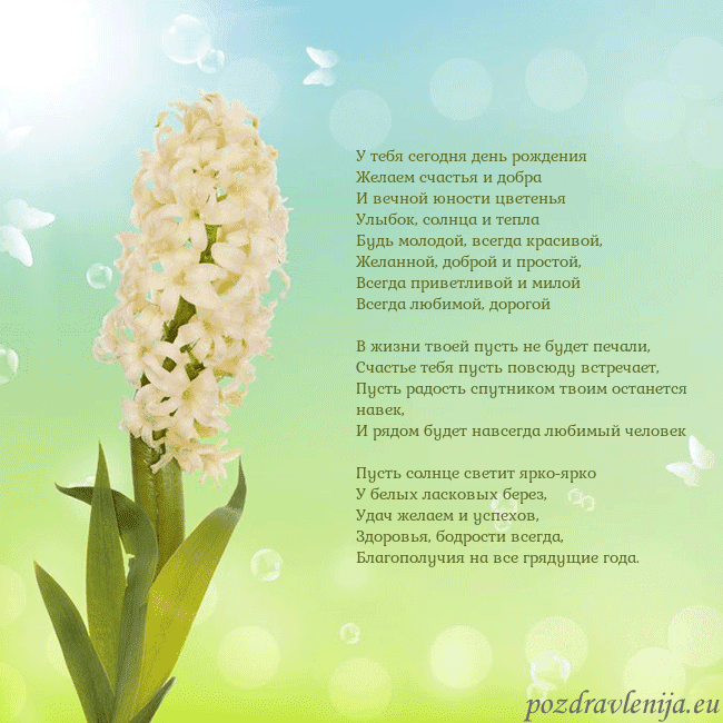 Открытка с гиацинтом