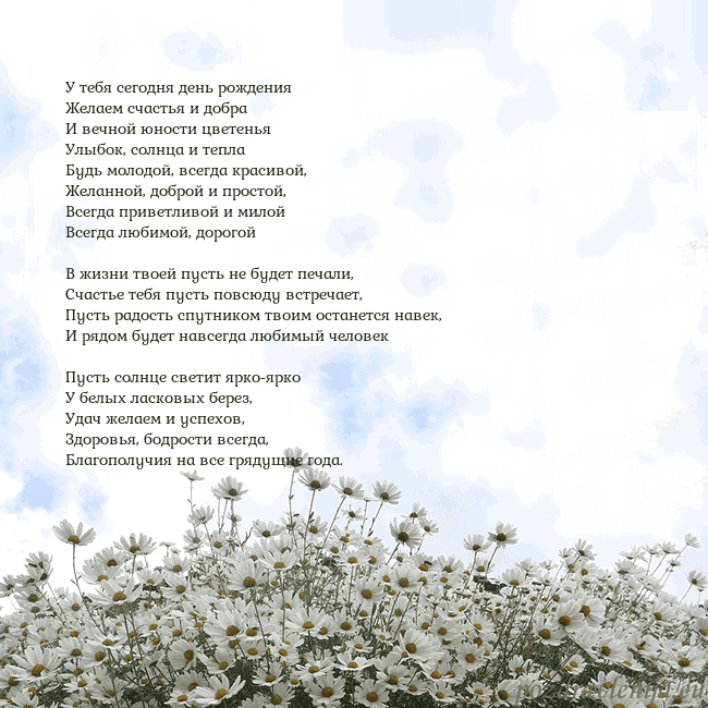 Открытка с ромашками