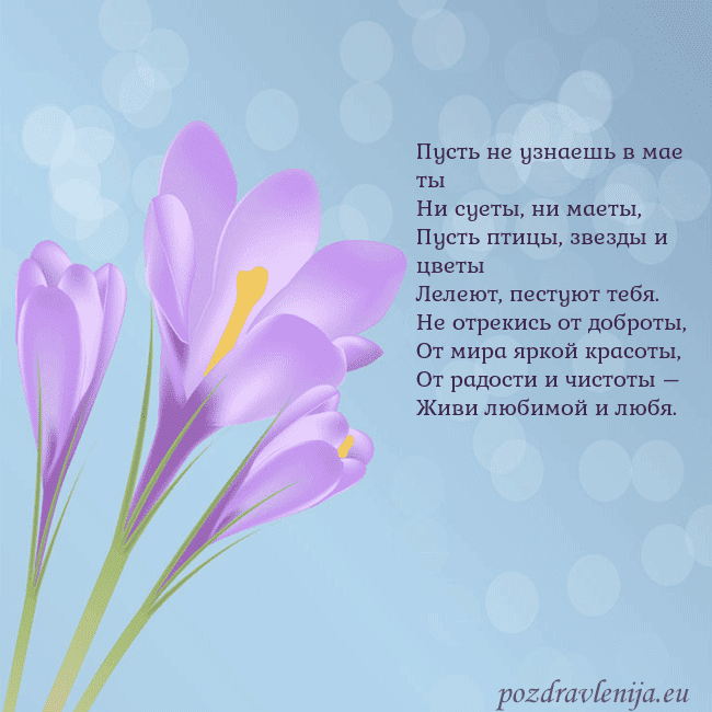 Открытка с крокусом