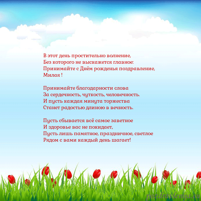 Открытка с тюльпанами