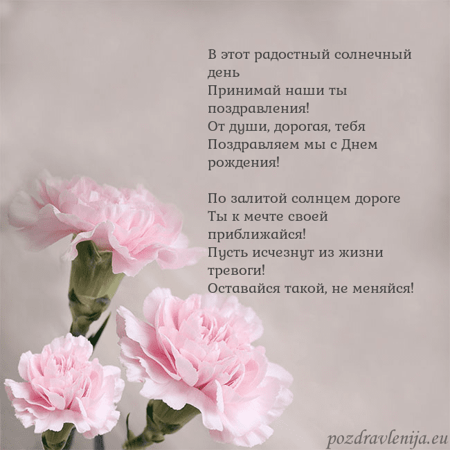 Открытка с розовыми гвоздиками