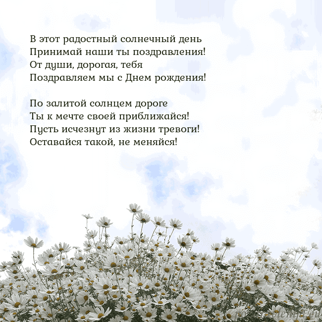 Открытка с ромашками