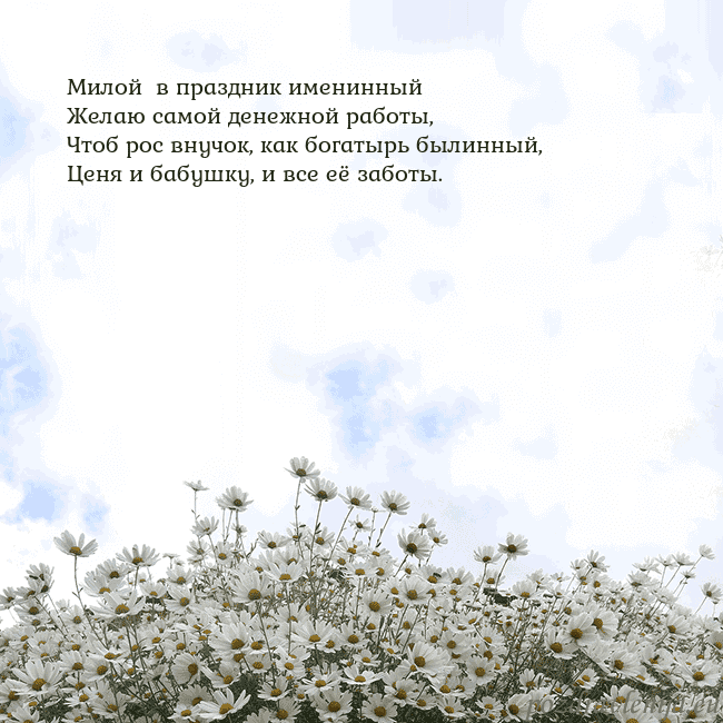 Открытка с ромашками