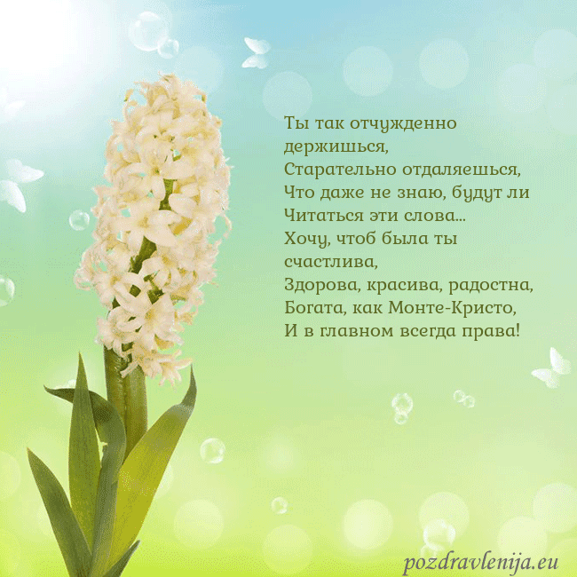Открытка с гиацинтом