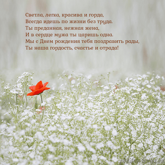 Электронная открытка с белыми цветами