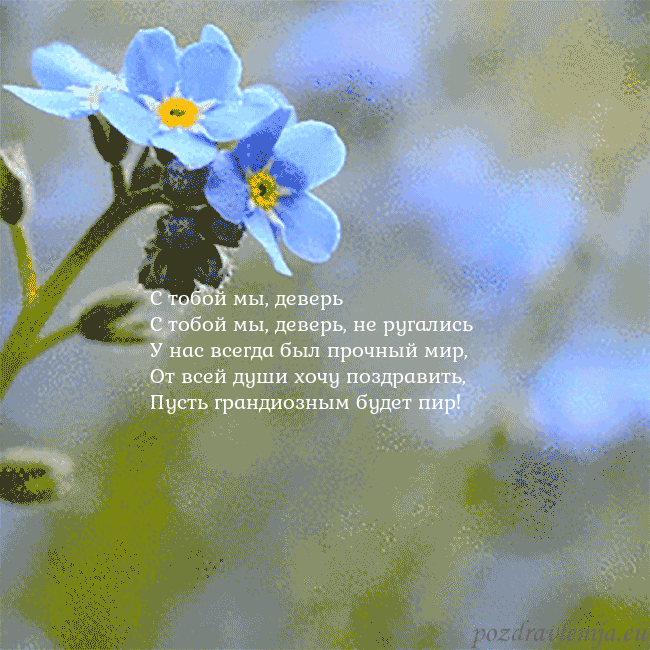 Электронная анимированная открытка с незабудками