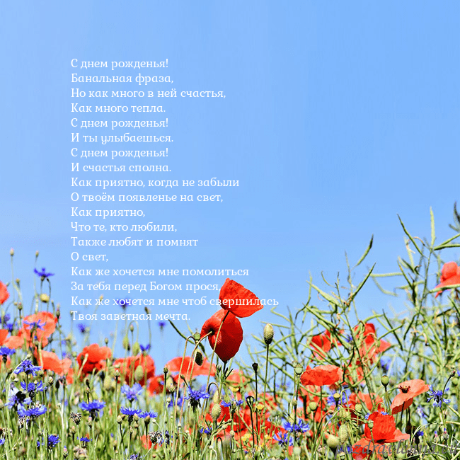 Открытка с маками