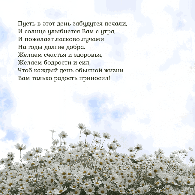 Открытка с ромашками
