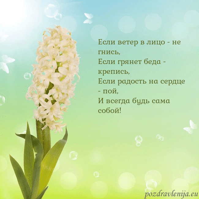 Открытка с гиацинтом