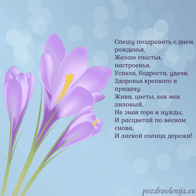 Открытка с крокусом