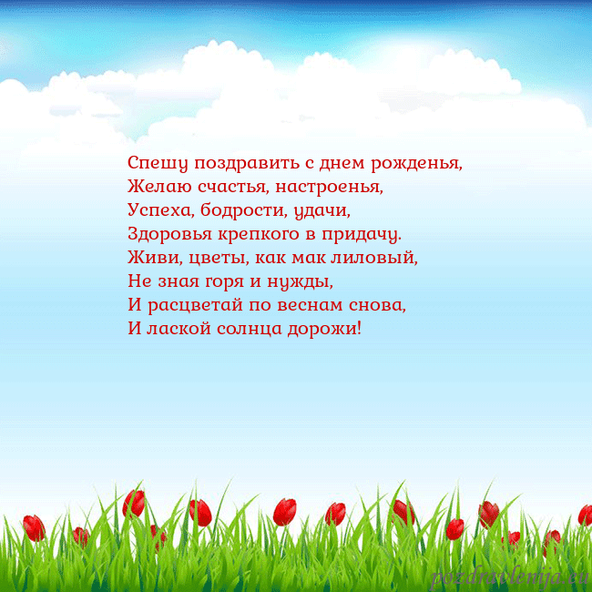 Открытка с тюльпанами