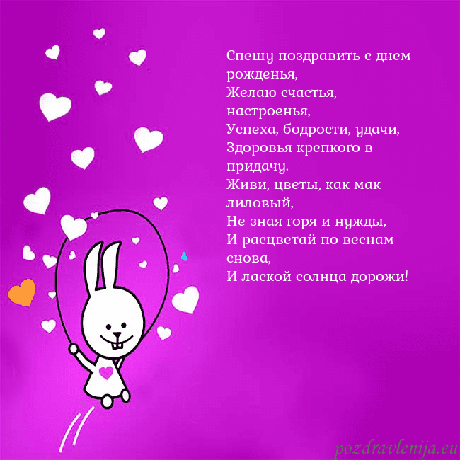 Открытка с забавным зайчиком