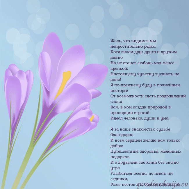 Открытка с крокусом