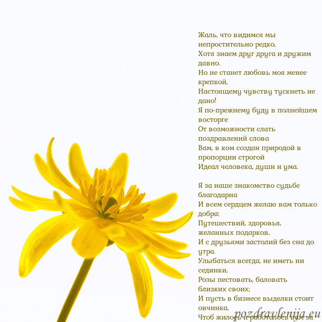 Открытка с желтым цветком Жаль, что видимся мы непростительно редко,
Хотя зн Открытка с желтым цветком