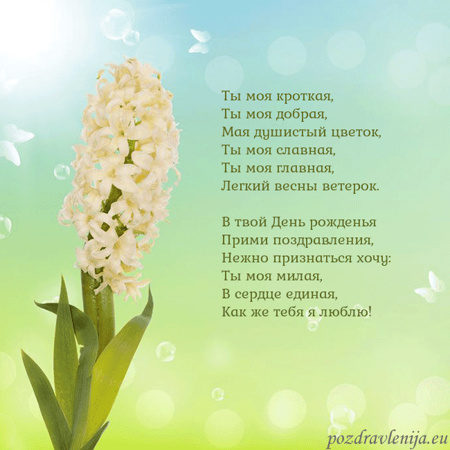 Открытка с гиацинтом