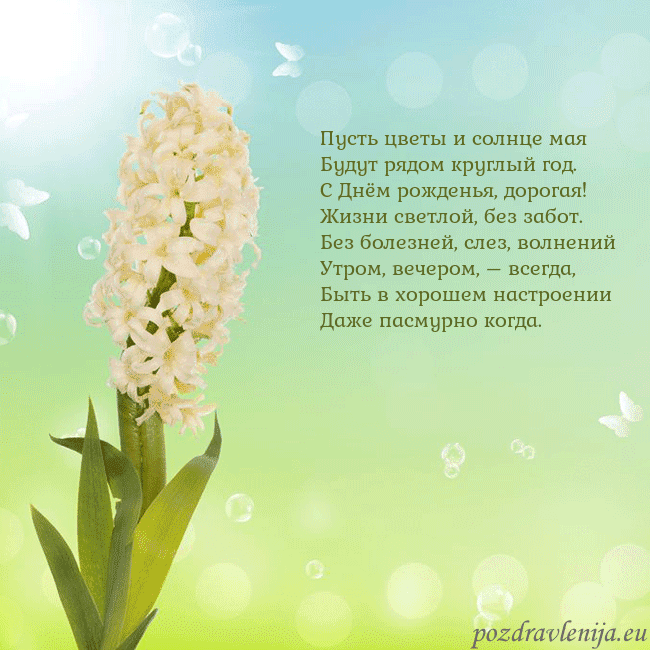 Открытка с гиацинтом