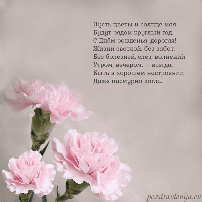 Открытка с розовыми гвоздиками