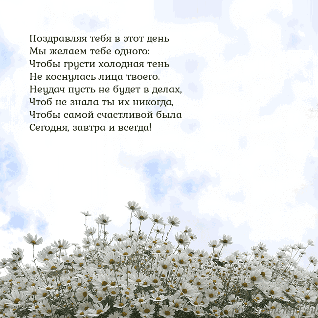 Открытка с ромашками