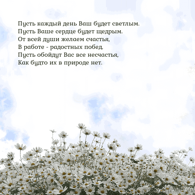 Открытка с ромашками