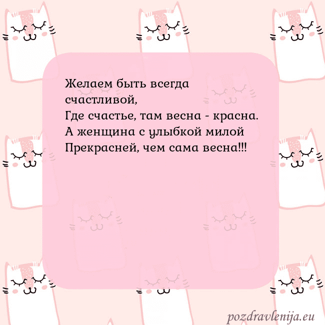 Розовая открытка с забавными кошками