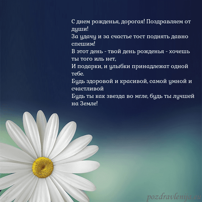 Открытка с большой ромашкой