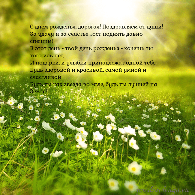 Электронная открытка с утопающим в солнечном свете лугом