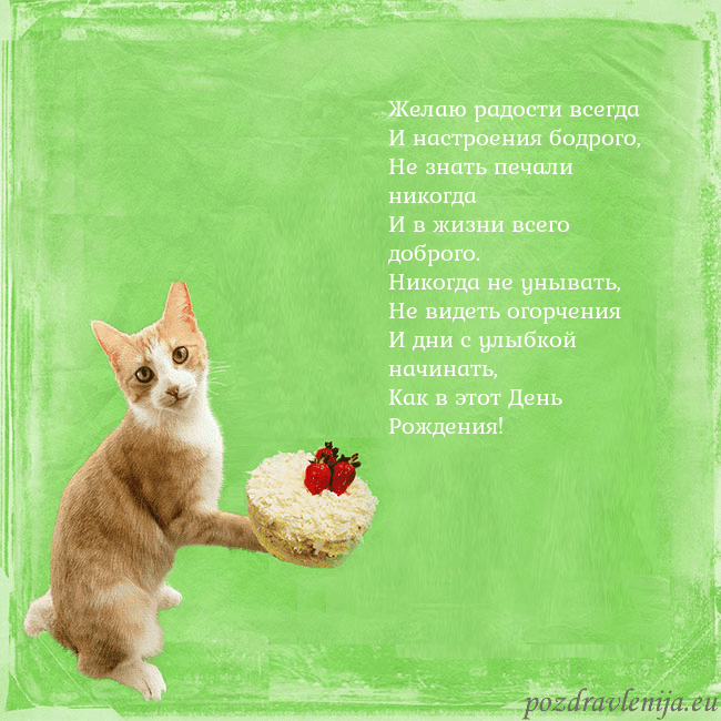 Забавная открытка на день рождения с кошкой и тортом