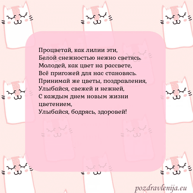 Розовая открытка с забавными кошками