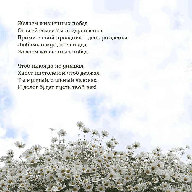 Открытка с ромашками