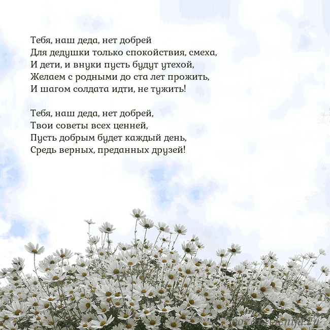 Открытка с ромашками