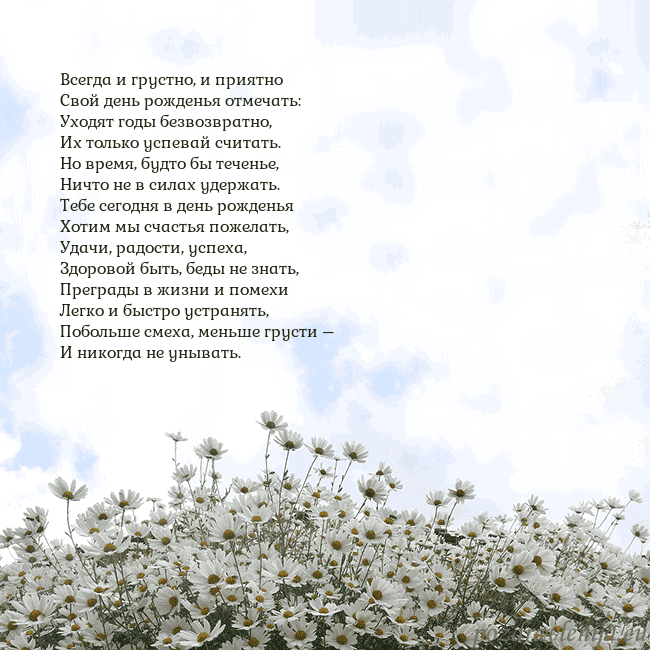 Открытка с ромашками