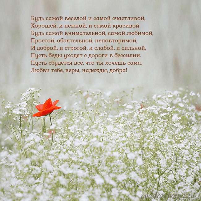 Электронная открытка с белыми цветами