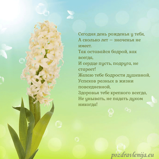 Открытка с гиацинтом