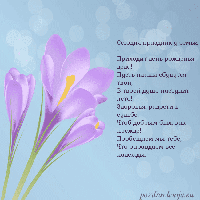 Открытка с крокусом