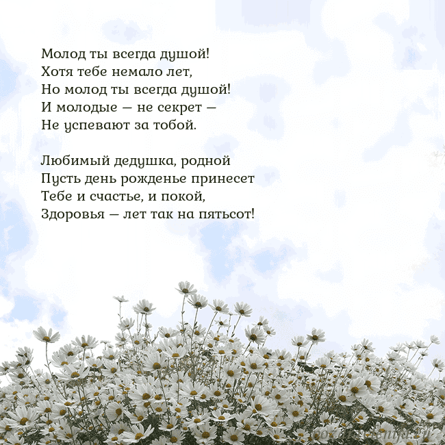 Открытка с ромашками