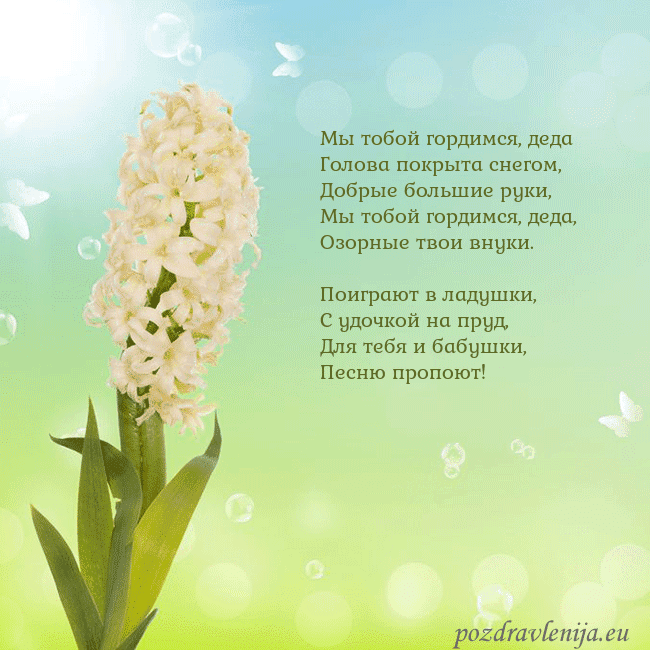 Открытка с гиацинтом