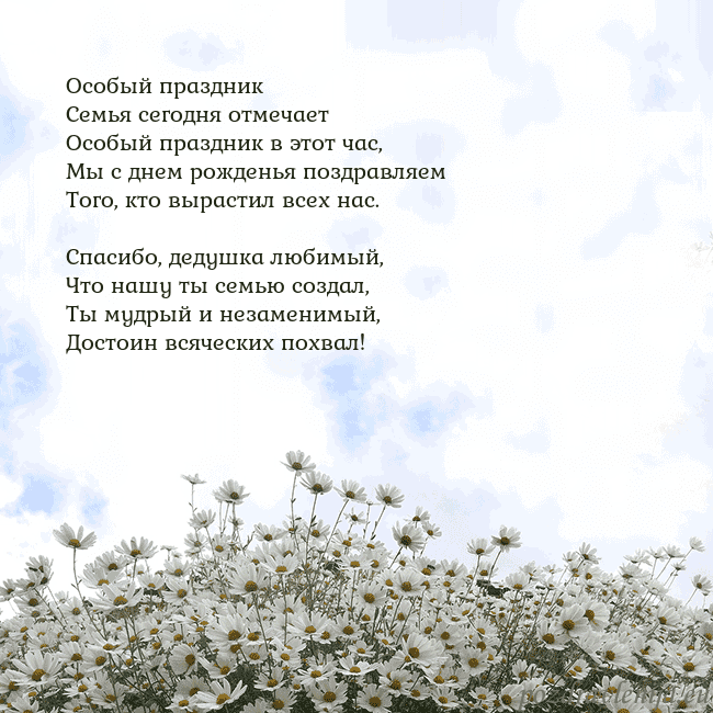 Открытка с ромашками