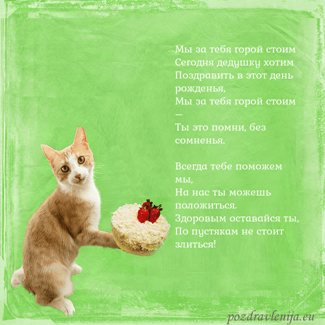 Забавная открытка на день рождения с кошкой и тортом