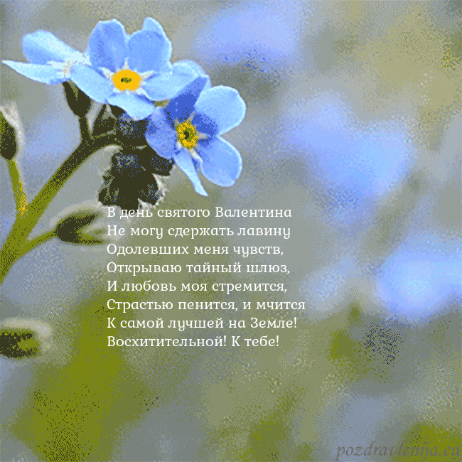 Электронная анимированная открытка с незабудками В день святого Валентина
Не могу сдержать лавину
О Электронная анимированная открытка с незабудками