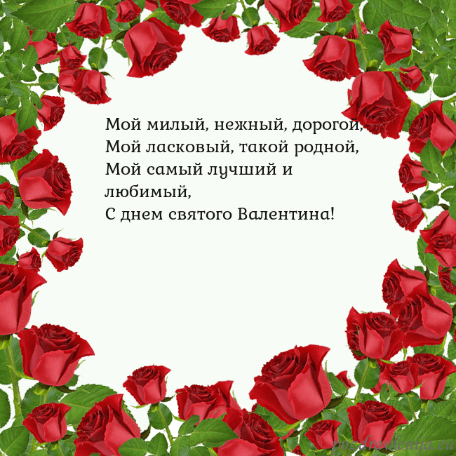Открытка с красными розами Мой милый, нежный, дорогой,
Мой ласковый, такой ро Открытка с красными розами