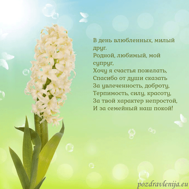 Открытка с гиацинтом В день влюбленных, милый друг.
Родной, любимый, мо Открытка с гиацинтом